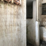 Sobrado à venda com 3 quartos em Casa Verde, São Paulo, SP