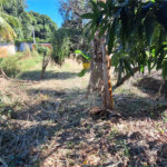 Terreno à venda em Guaratiba, Rio de Janeiro, RJ