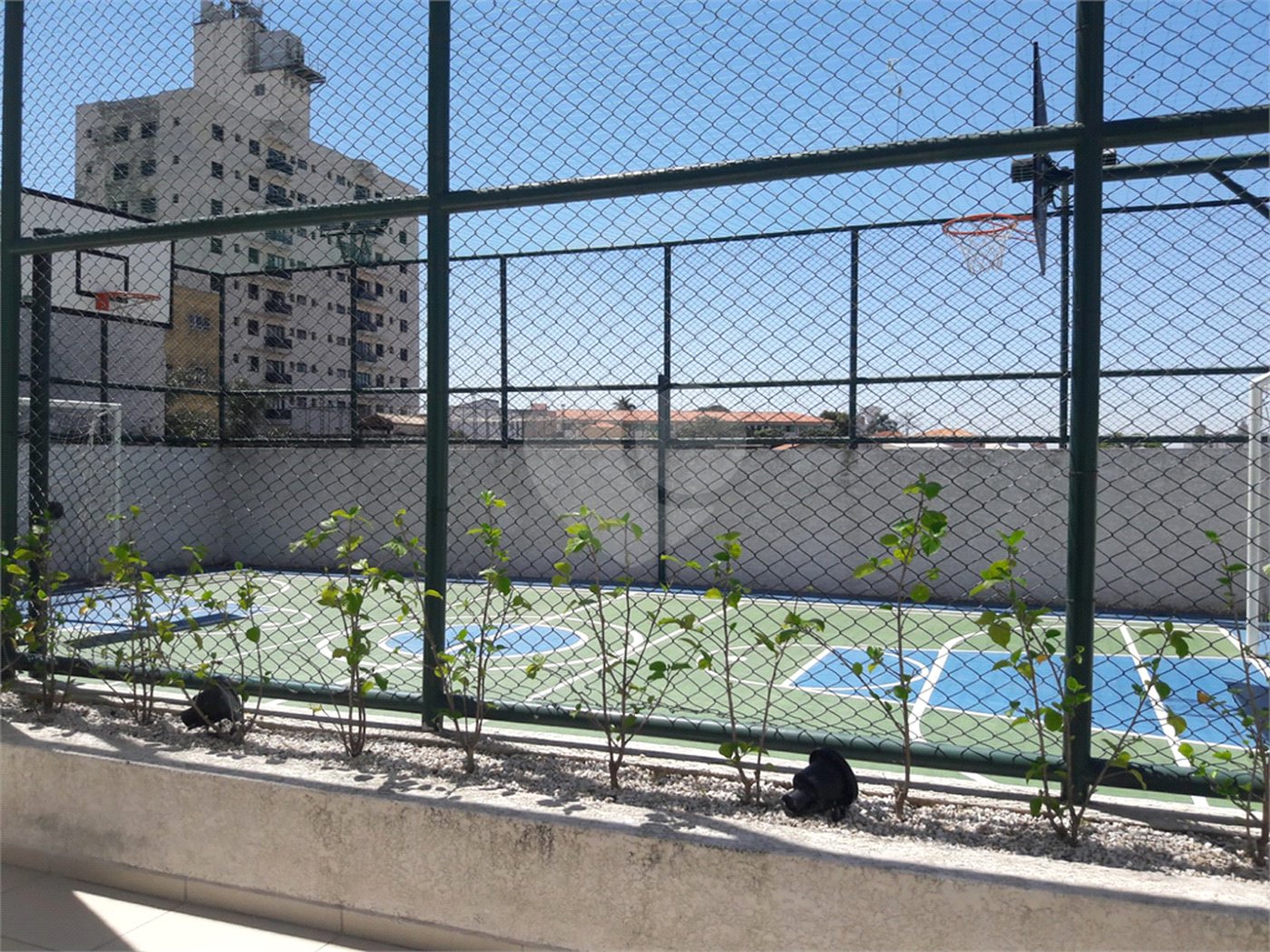 Apartamento à venda com 2 quartos em Vila Nova Cachoeirinha, São Paulo, SP