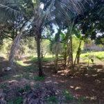 Terreno à venda em Protestantes, Votorantim, SP