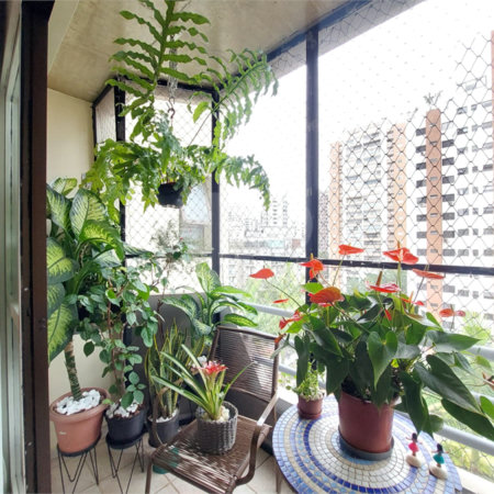 Apartamento à venda com 3 quartos, sendo 1 suíte, em Real Parque, São Paulo, SP