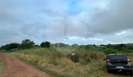 Terreno à venda em Bosque de Ponta Porã, Ponta Porã, MS