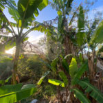 Terreno à venda em Albatroz, Armação dos Búzios, RJ