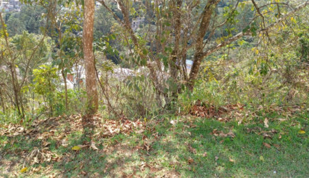 Terreno à venda em Barreiro, Mairiporã, SP