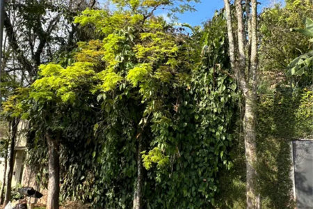 Terreno à venda no condomínio Jardim Vitória Régia, São Paulo - SP
