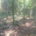 Terreno à venda em Dos Finco, São Bernardo do Campo, SP