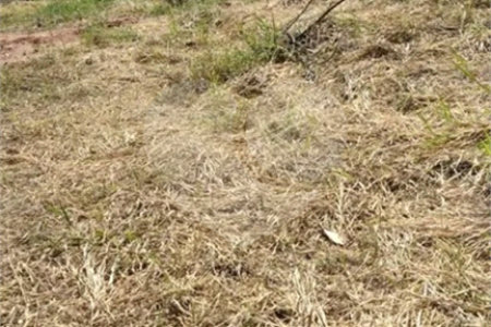 Terreno à venda no condomínio Recanto das Palmeiras, Jundiaí - SP