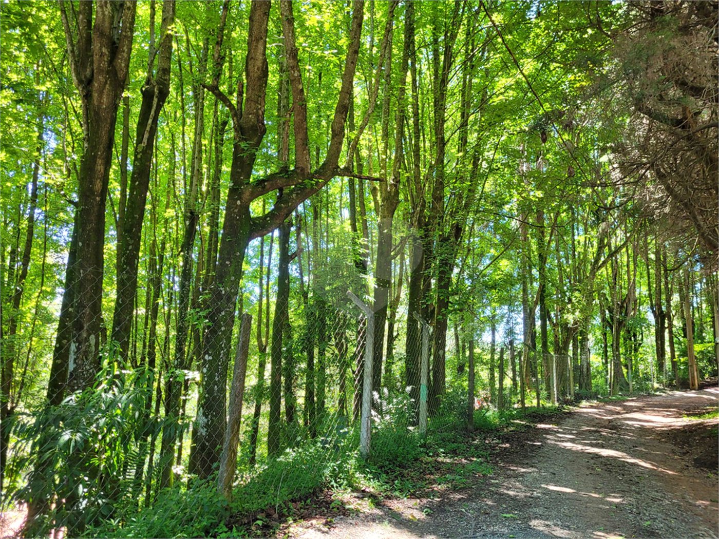 Terreno à venda no condomínio Cantareira, Mairiporã - SP
