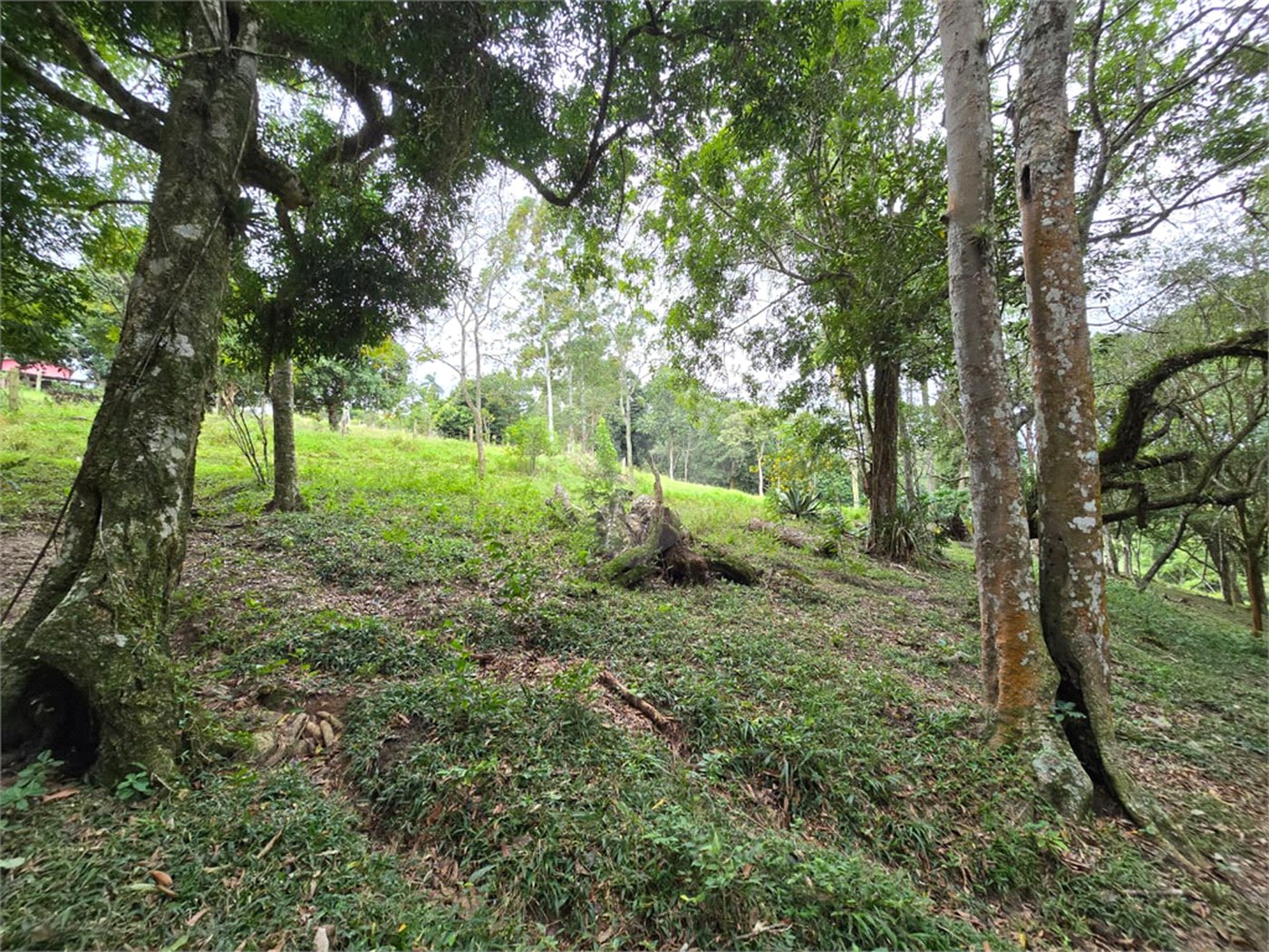 Sítio à venda com 6 quartos, sendo 5 suítes, em Área Rural de Itapetininga, Itapetininga, SP
