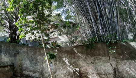 Terreno à venda em Santa Teresinha, São Paulo, SP