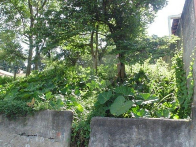 Terreno à venda em Vila Irmãos Arnoni, São Paulo, SP