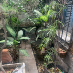 Casa à venda com 2 quartos, sendo 1 suíte, em Praça da Bandeira, Rio de Janeiro, RJ