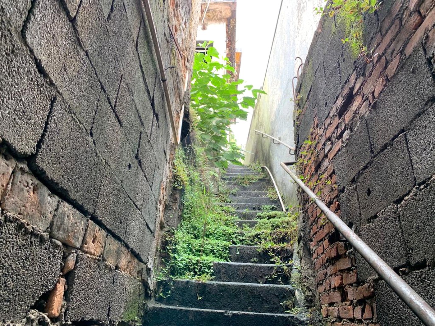 Casa à venda com 2 quartos em Parada Inglesa, São Paulo, SP