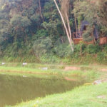 Chácara à venda com 5 quartos em Rio Acima, Mairiporã, SP