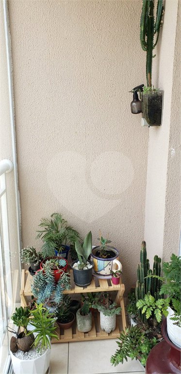 Apartamento à venda com 2 quartos em Mandaqui, São Paulo, SP