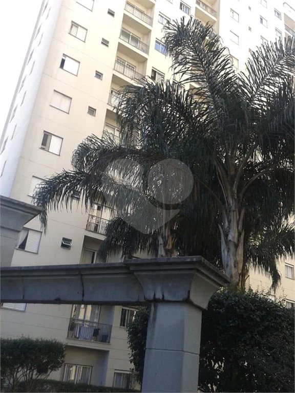 Apartamento para alugar com 2 quartos em Mandaqui, São Paulo, SP