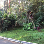Casa Térrea à venda com 3 quartos, sendo 1 suíte, em Mandaqui, São Paulo, SP