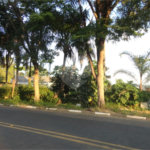 Terreno à venda em Bosque, Vinhedo, SP