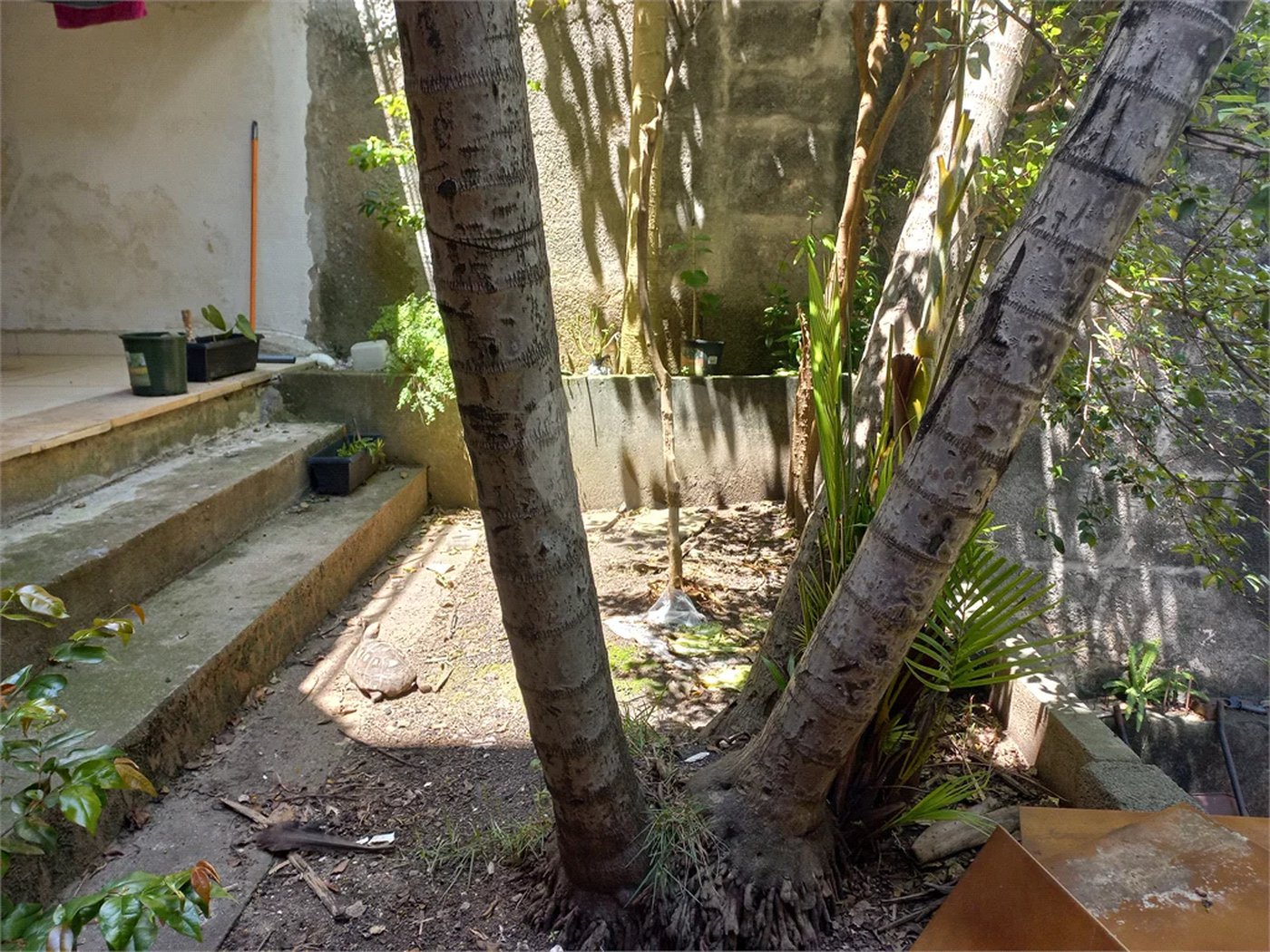 Sobrado à venda com 3 quartos, sendo 1 suíte, em Tucuruvi, São Paulo, SP
