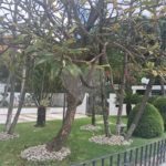 Prédio com portaria 24 horas, e lazer. Apartamento com 3 dormitórios, uma suíte, 2 vagas de garagem