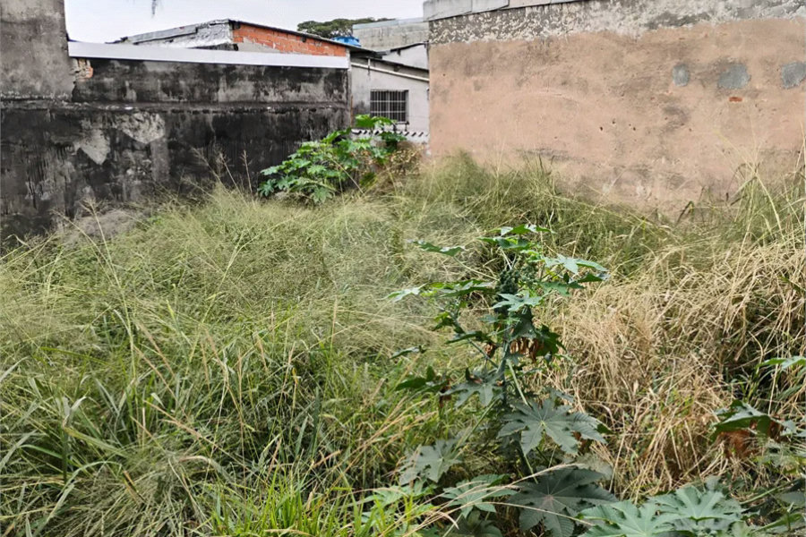Terreno à venda na Vila Santa Catarina