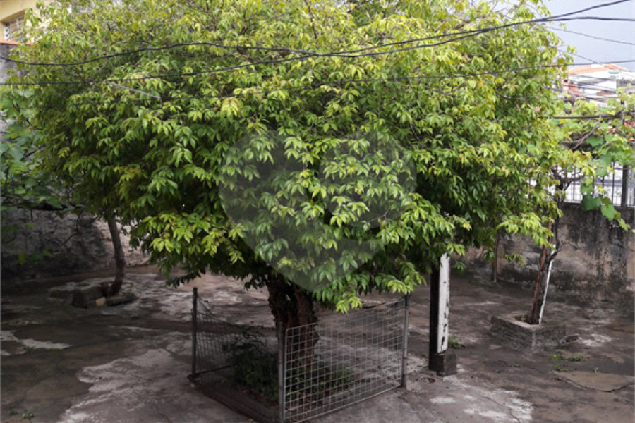 Casa Térrea à venda com 2 quartos em Freguesia do Ó, São Paulo, SP