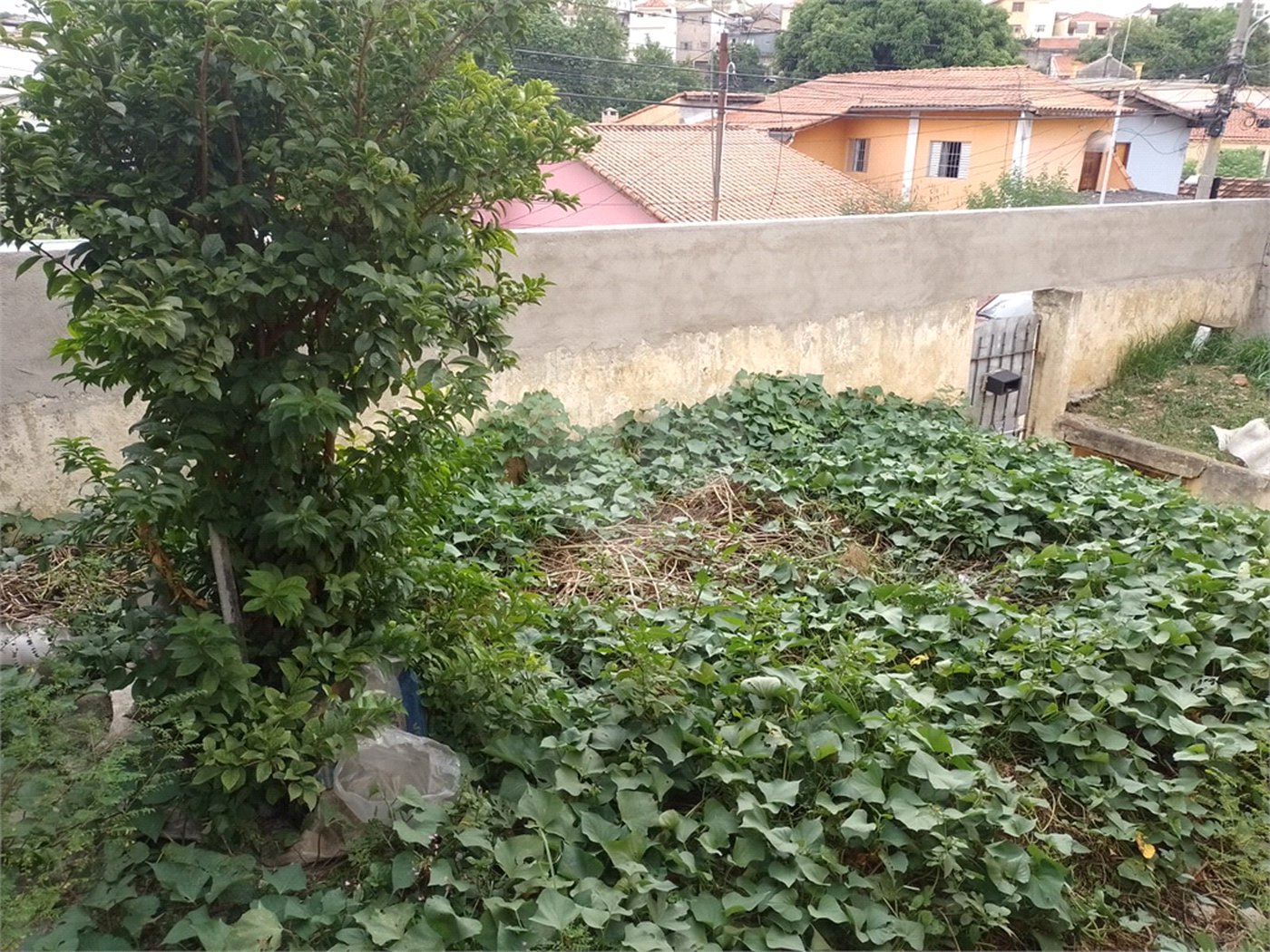 Terreno à venda com 1 quarto em Jaçanã, São Paulo, SP