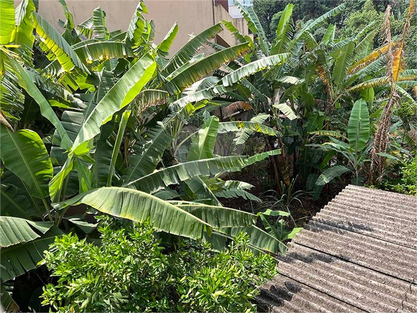 Terreno à venda em Santana, São Paulo, SP