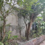 Casa à venda com 3 suítes em Matriz, Mauá, SP