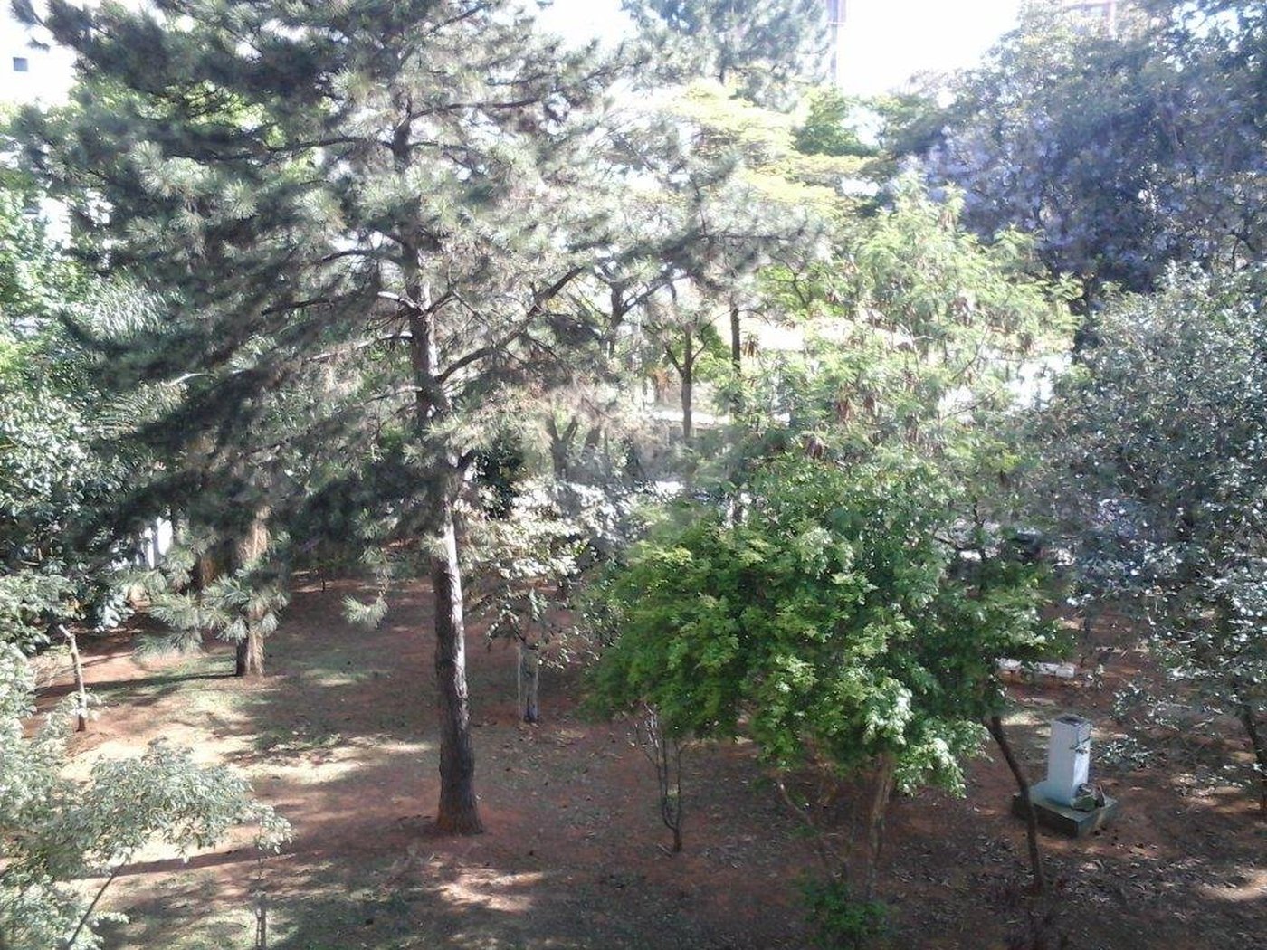 Casa para alugar com 4 quartos, sendo 2 suítes, no condomínio Palm Garden, São Paulo - SP