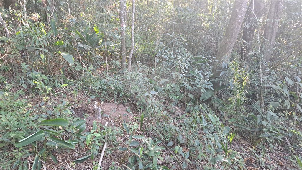 Terreno à venda em Serra da Cantareira, Mairiporã, SP