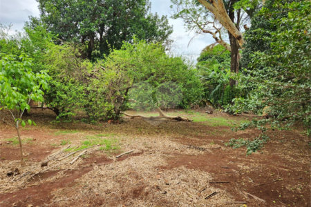 Chácara à venda com 2 quartos em Jardim Califórnia, Araraquara, SP