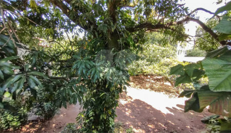 Terreno à venda em Jardim Satélite, São João da Boa Vista, SP