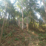Terreno à venda em Serra da Cantareira, Mairiporã, SP