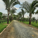 Rancho com 12 dormitórios à venda, 63000 m² por R$ 7.500.000,00 - Condomínio Haras Paineiras - Salto/SP