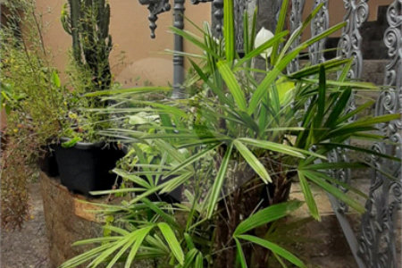 Casa à venda com 3 quartos, sendo 1 suíte, no Brasil, Itu, SP
