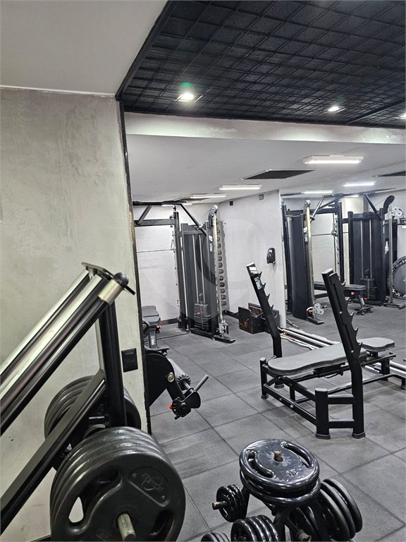 Apartamento à venda com 3 quartos em Vila Andrade, São Paulo, SP