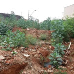 Terreno à venda em Limão, São Paulo, SP