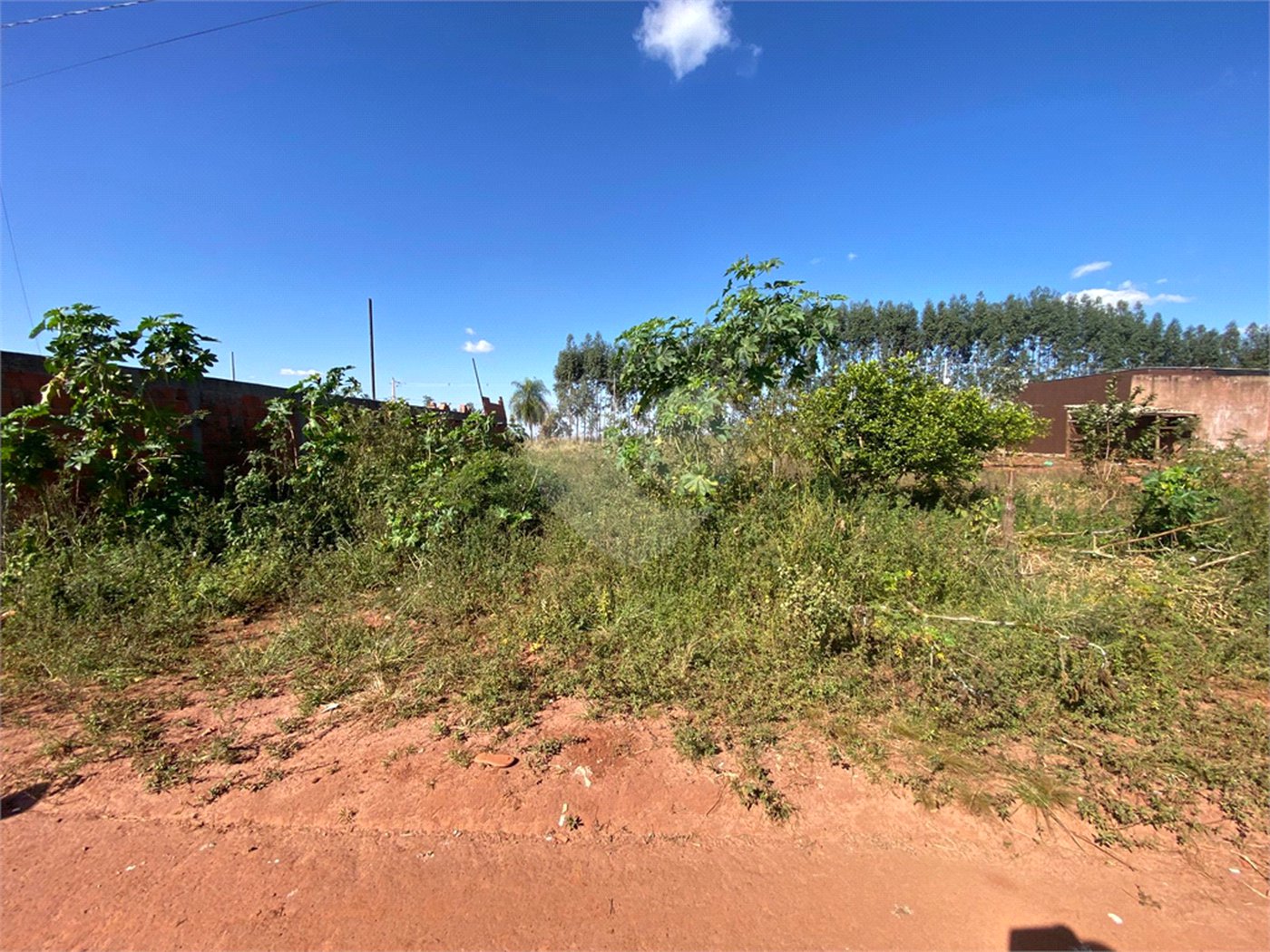 Terreno à venda no condomínio Terreno na Rua Realeza,500, Ponta Porã - MS