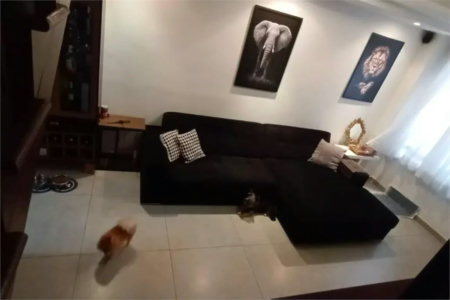 Casa à venda com 3 quartos, sendo 1 suíte,  no condomínio Jardim das Palmas, São Paulo - SP