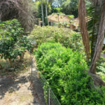 Terreno à venda com 2 quartos, sendo 1 suíte, em Jardim Floresta, São Paulo, SP