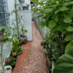 Casa Térrea à venda com 4 quartos em Casa Verde, São Paulo, SP