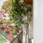 Apartamento para alugar com 4 quartos em Jardim Colombo, São Paulo, SP