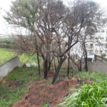 Terreno à venda em Capela, Vinhedo, SP