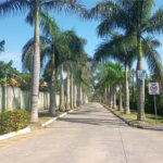 Casa à venda com 5 quartos, sendo 1 suíte, no condomínio Village da Serra, Araçoiaba da Serra - SP