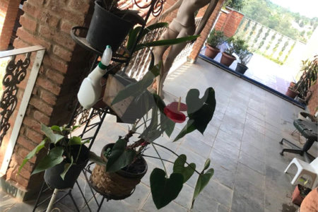 Chácara à venda com 4 quartos, sendo 1 suíte,  em Monterrey, Louveira, SP