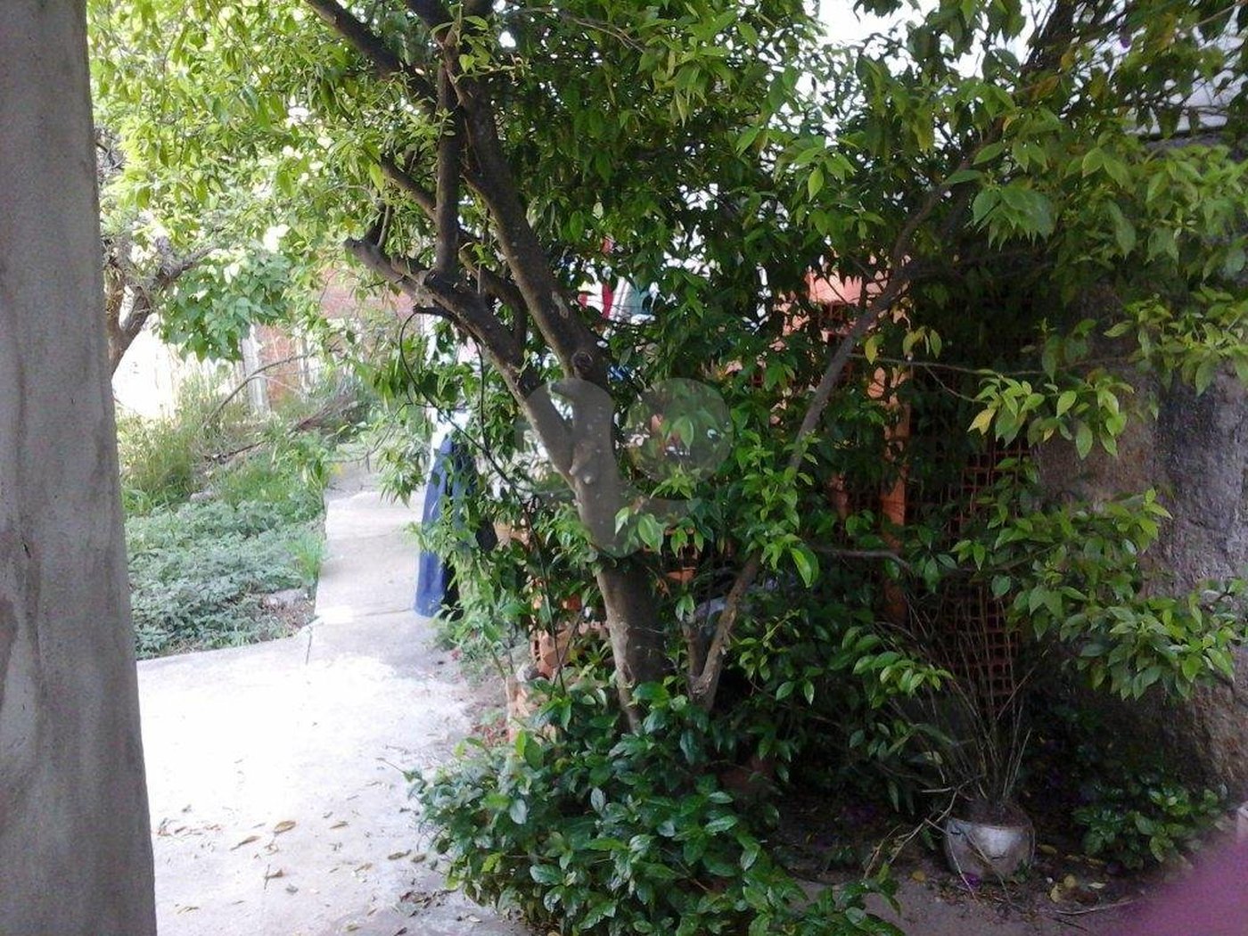 Terreno à venda em Tremembé, São Paulo, SP