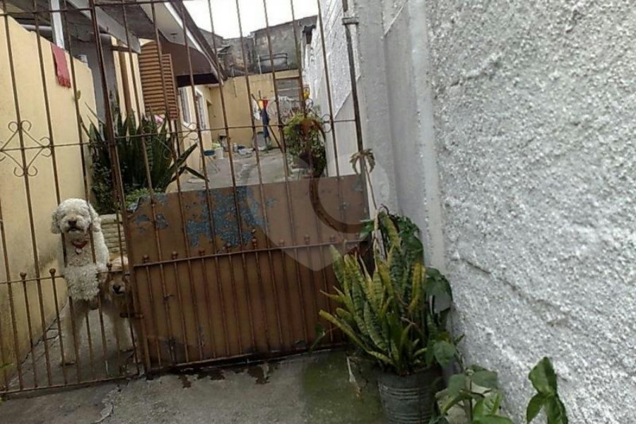 Casa Térrea à venda com 3 quartos em Vila Guilherme, São Paulo, SP