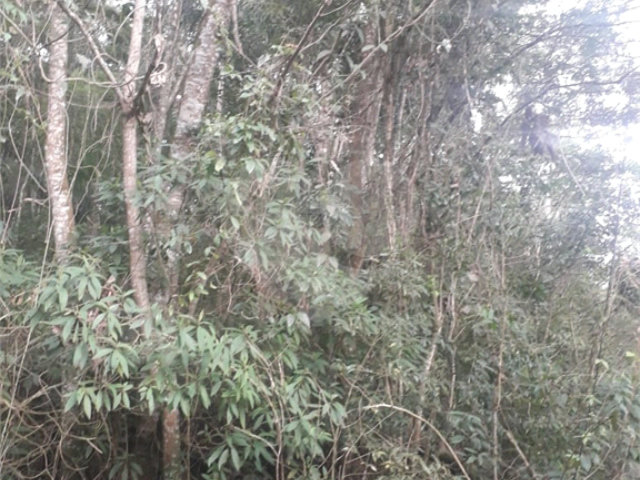 Terreno à venda em Suasalito, Mairiporã, SP
