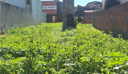 Terreno à venda no Centro, Itapetininga, SP